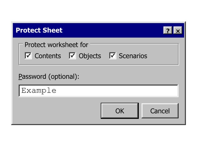 A Windows 95 style Protect Sheet password dialog
