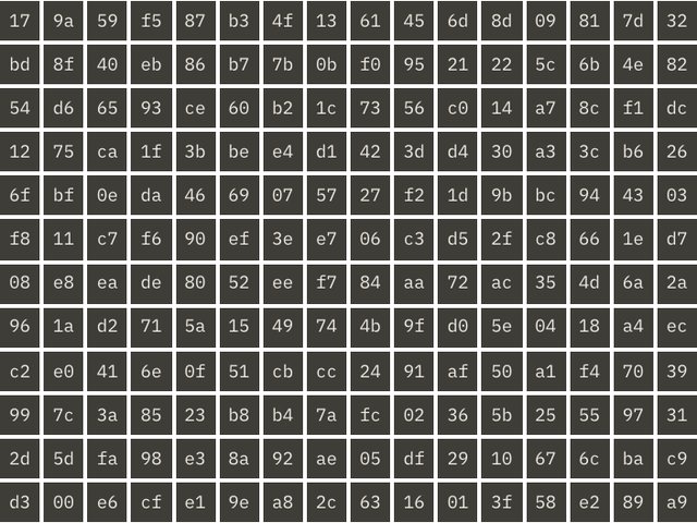 A grid of 256 hexadecimal bytes